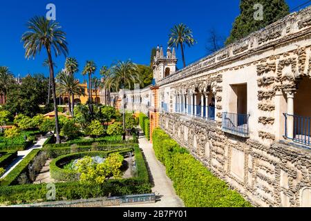 Außenansicht des Galería del Grutesco (Galerie Grotte) und Gärten mit Palmen, Royal Alcázar von Sevilla, Spanien Stockfoto