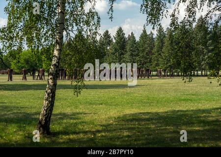 "Die unerkannten", eine Skulptur von Magdalena Abakanowicz, im Zitadellenpark in Posen, Polen 2019. Stockfoto