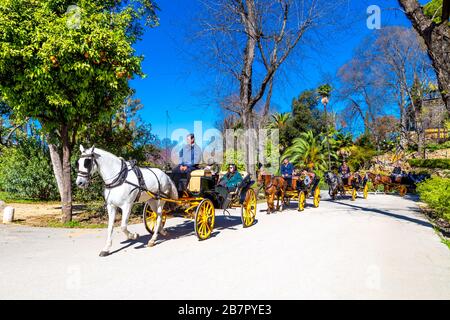 Touristen reiten in Pferdekutschen im Parque de María Luisa, Sevilla, Andalusien, Spanien Stockfoto