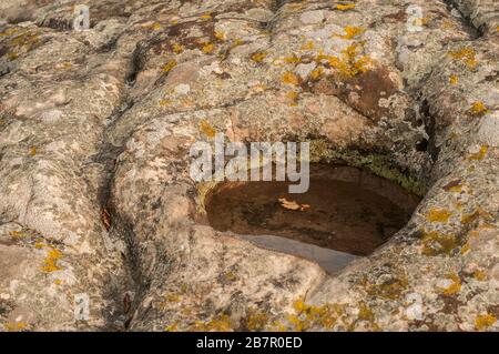Regenwasser in Felsensteinloch in der Nähe Stockfoto