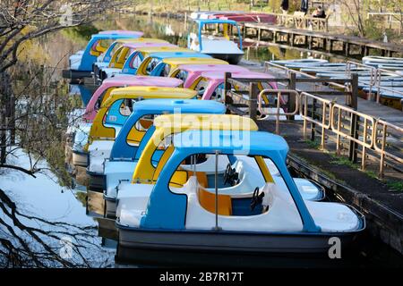 Tretboote zum Mieten im Zenpukuji Park in Tokyo, Japan. Stockfoto