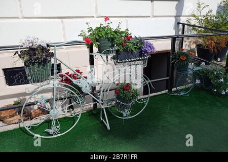 Dekoratives Fahrrad mit Blumenkörben. Topfblumen auf einem fahrradförmigen Standfuß. Dekoration des äußeren mit dekorativen Elementen. Stockfoto