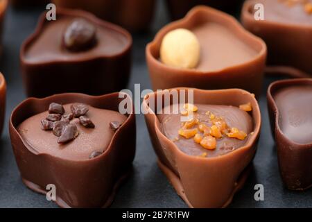 Schokoladenkäuze mit verschiedenen Füllungen aus nächster Nähe. Milch- und Schokoladenbonbons mit Karamell, Kaffee und Nüssen. Köstliche Desserts aus handgefertigter Schokolade. Stockfoto