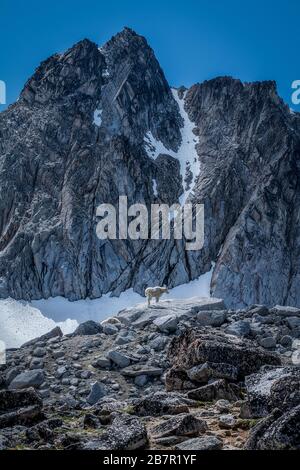 Alpine Lakes Wilderness im Staat Washington Stockfoto