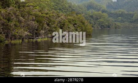 Reflexionen des Waldes auf dem ruhigen Wasser des Gordon River in Tasmanien, Australien. Farbtonierung im Kino. Stockfoto