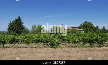 Dorf vaucluse, roussillon und bonnieux zwischen Weinberg und Dorf, Frankreich Stockfoto