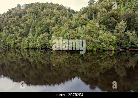 Reflexionen des Waldes auf dem ruhigen Wasser des Gordon River in Tasmanien, Australien. Farbtonierung im Kino. Stockfoto