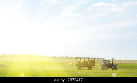 Einen landwirtschaftlichen Traktor Lader lasten Heuballen in einen Traktor Anhänger auf dem Feld Stockfoto