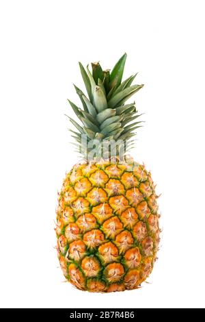 Eine Ananas isoliert auf Weiß Stockfoto