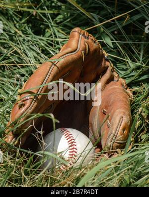 Nahaufnahme des Baseballhandschuhs mit einem Baseball im Inneren, der im Gras liegt. Stockfoto