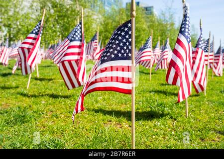 Viele amerikanische Flaggen auf Gras Stockfoto
