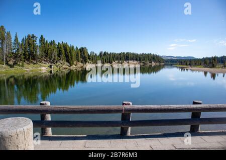 Pinien reflektieren an einem sonnigen Tag in Wyoming im Sommer in einem Yellowstone Park Fluss Stockfoto