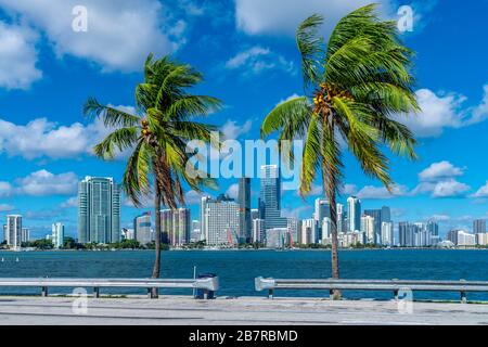 Hochhäuser in Brickell, Miami. Stockfoto