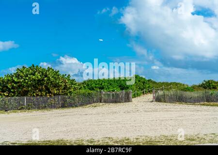 Sandstrände in Miami, Florida Stockfoto