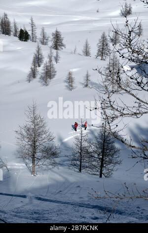 Vertikale Aufnahme eines bewaldeten Berges, der mit Schnee bedeckt ist Col de la Lombarde - Isola 2000 Frankreich Stockfoto