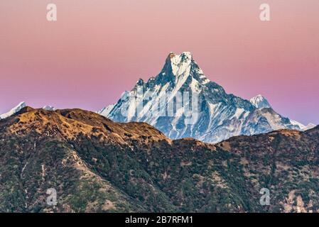 Majestätischer Blick auf den Sonnenuntergang, der von Poon Hill, Ghorepani, Nepal durch Machhapuchhare fegt Stockfoto