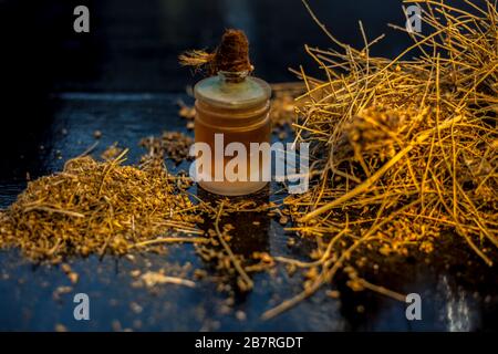 Nahaufnahme der ayurvedischen Gedächtnisverstärker herb shankhpusppi oder Convolvulus pluricaulis Wurzeln zusammen mit seinem Öl auf einer schwarzen Holzoberfläche mit Selecti Stockfoto