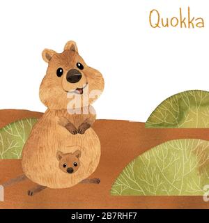 Lächelnder australischer Quokka. Süße kawaii handgezeichnete Aquarellkunst Stockfoto