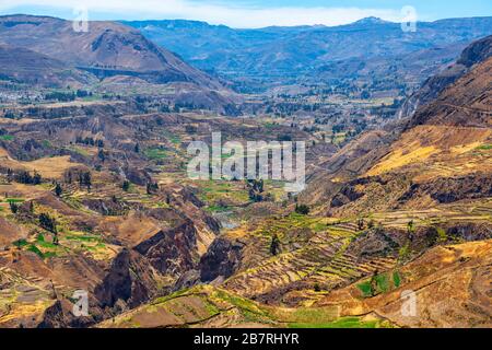 Die Agrarfelder und der Fluss Colca im majestätischen Colca Canyon, Arequipa Region, Peru. Stockfoto
