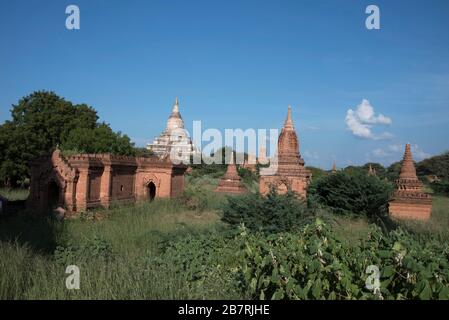 Myanmar: Bagan- General-Ansicht von Miniatur-Votivstupas mit Shwesandaw-Pagode am Hintergrund in Weiß. Stockfoto