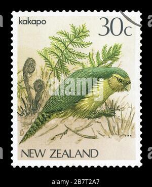 Neuseeland - CIRCA 1986: Eine Briefmarke gedruckt in Neuseeland, zeigt einen Vogel Kakapo (Strigops Habroptilus), ca. 1986 Stockfoto