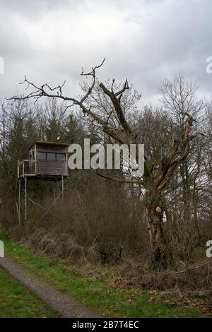 Jagdhütte im Wald auf dem Feld im Freien Stockfoto