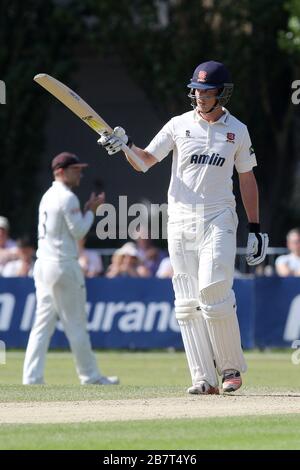 Tom Westley aus Essex CCC feiert ein halbes Jahrhundert, 50 Runs Stockfoto