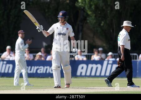 Tom Westley aus Essex CCC feiert ein halbes Jahrhundert, 50 Runs Stockfoto