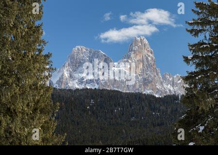 Der Nadelwald Paneveggio, Pale di San Martino Berggruppe. Die Gipfel Cima Vezzana und Cimon della Pala. Die Trentiner Alpen. Italienische Alpen. Stockfoto