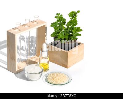 Gelbe Kosmetikfarbe (Öl), mikrokristallines Wachs und Candelilla Wax. Chemikalien für die Schönheitspflege schön in einem weißen Hintergrund angeordnet. Stockfoto