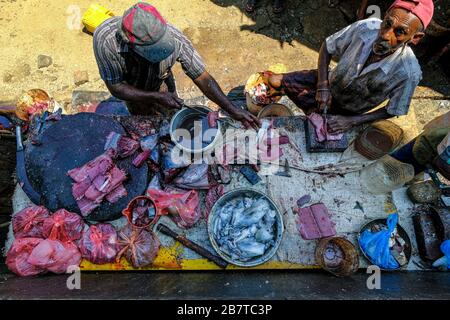 Trincomalee, Sri Lanka - Februar 2020: Fischhändler auf dem Trincomalee Markt am 16. Februar 2020 in Trincomalee, Sri Lanka. Stockfoto