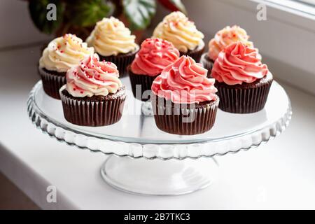 Schokoladenmuffins mit einem Hut aus rosa und weißer Creme Stockfoto