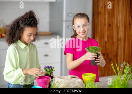 Zwei Teenager-Mädchen mit Indoor-Veilchen in den Händen. Stockfoto