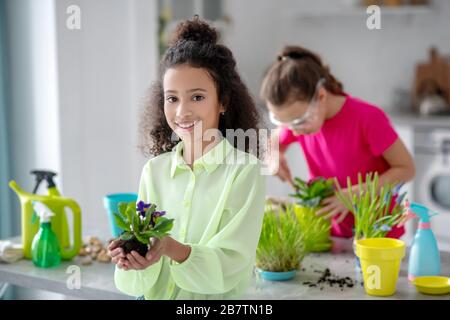 Mädchen, das ein Violett mit einer Wurzel zeigt, das andere dahinter. Stockfoto