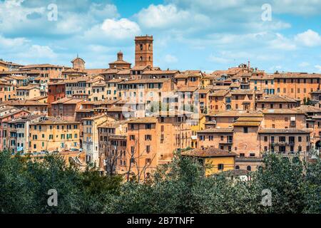 Die Skyline eines dicht bebauten Abschnitts des historischen Zentrums von einem Weg in der Nähe von Monastero di Sant'Agostino, Siena, Toskana, Italien, im Mai. Stockfoto