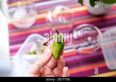 künstliche fingernägel breite finger Click it Tips Round main image 0