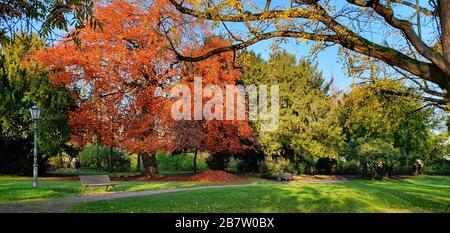 Puricelli Park in Bad Kreuznach City, Rheinland-Pfalz, Deutschland im Herbst Stockfoto