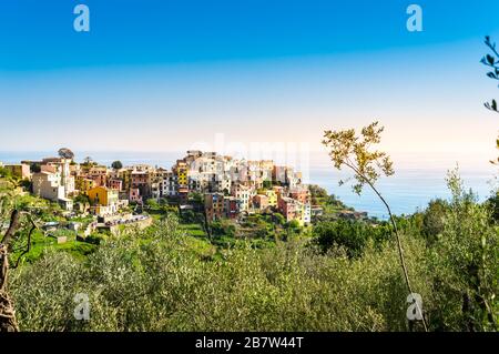 Corniglia, Cinque Terre - schönes kleines Dorf mit bunten Gebäuden auf der Klippe mit Blick auf das Meer. Cinque Terre National Park mit rauer Küste Stockfoto