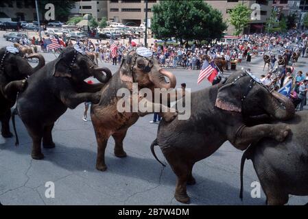 Austin Texas USA: Ringling Brothers Zirkus-Elefanten treten in der Pre-Show-Parade in der Innenstadt auf. ©Bob Daemmrich Stockfoto