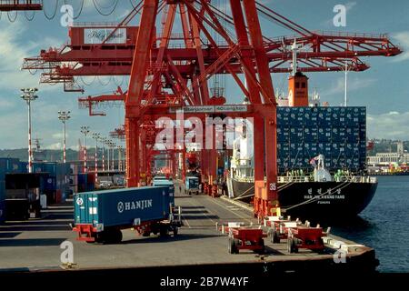 Seattle, Washington USA: Amerikanische Exporte werden auf koreanisches Frachtschiff verladen. ©Bob Daemmrich Stockfoto