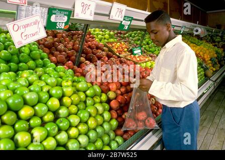 Austin Texas USA: Jugendliche aus der High School wählen gesunde, biologisch angebaute Früchte in der Produktion eines gesundheitsorientierten Lebensmittelladens. ©Bob Daemmrich Stockfoto