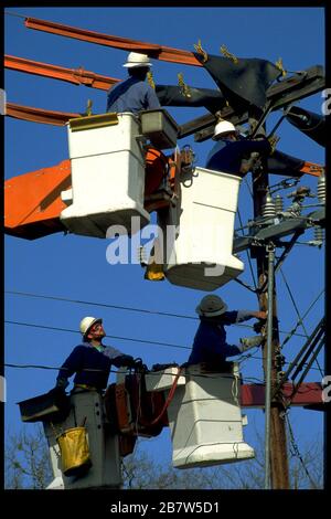 Austin, Texas: Stadtarbeiter in Kirschpflücker reparieren sturmbeschädigte Strommasten. ©Bob Daemmrich Stockfoto