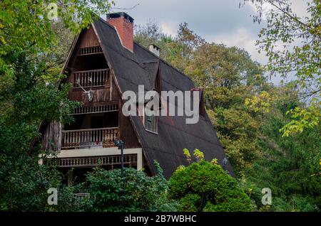 holzhütte im Wald Stockfoto