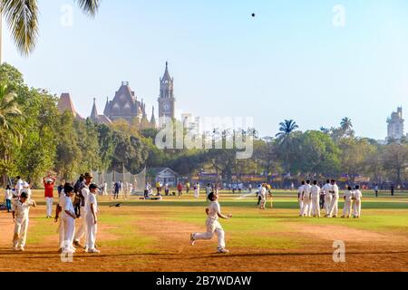 Cricket-Praxis auf dem Oval Maidan in Mumbai/Bombay, Indien Stockfoto