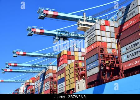 Rotterdam, Niederlande - August 2019; Low-Angle-View und Bildabfüllungsabschnitt des Containerhandlings "Hip to Shore" im Terminal mit Gantry c Stockfoto