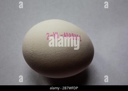 Weißes Hühnerei mit Datumsstempel Stockfoto