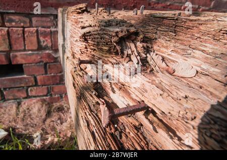 Alter Balken mit Nieten auf einem Backstein-Wandhintergrund. Es gibt alte rostige Nägel. Altes Holz wird von der Mittagssonne erhellt. Stockfoto