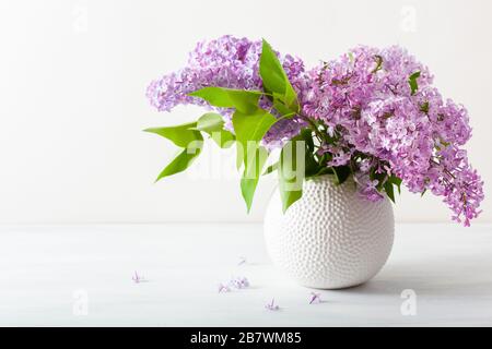 Schönen lila Blumen in Vase auf weißem Hintergrund Stockfoto