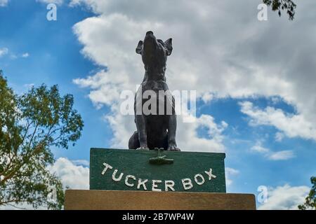 Der berühmte Hund auf einer Tucker Box Statue, Denkmal. In Gundagai, NSW, Australien. Stockfoto