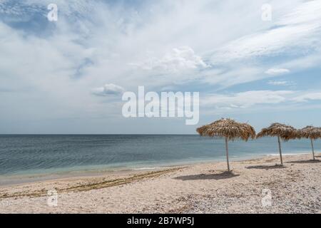 Reed-Sonnenschirme am Strand zum Meer Stockfoto